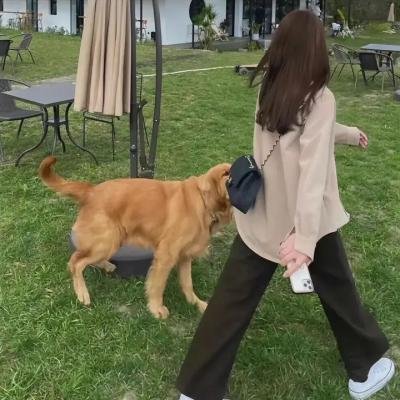 濒临崩溃的生活
